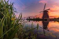 Sonnenaufgang Kinderdijk 7