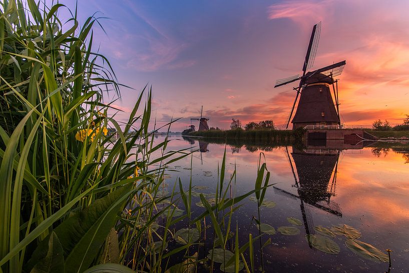 Zonsopkomst Kinderdijk 7 van Henk Smit