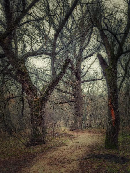 Le trio par Vladyslav Durniev