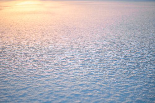 Sneeuwkristallen op de grond bij zonsopgang