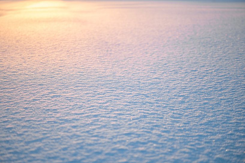 Cristaux de neige au sol au lever du soleil par Leo Schindzielorz