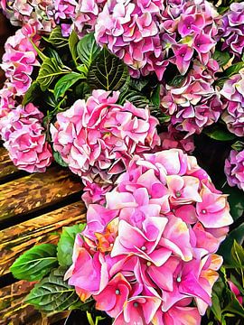 Prachtige hortensia's 3 van Dorothy Berry-Lound