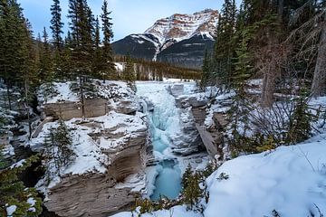 Athabasca falls van Luc Buthker