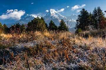 uitzicht vanaf poon hill van Alex Neumayer