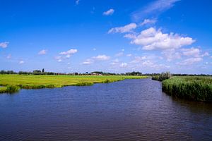 Dutch landscape in South Holland
