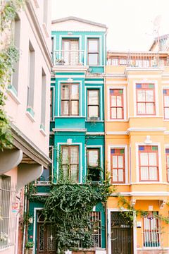 Colored houses in Istanbul, Turkey by Vildan Ersert