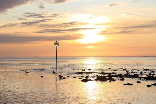 Ameland op zijn mooist