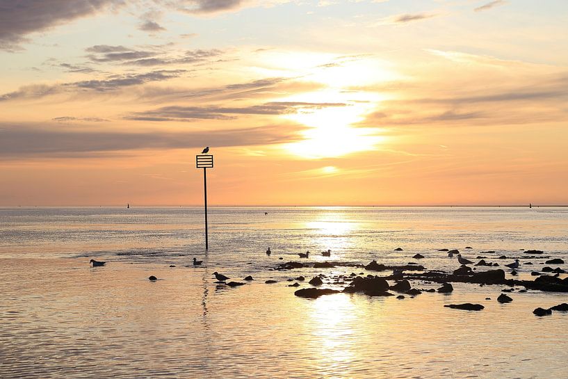 Ameland von seiner besten Seite von Rinnie Wijnstra (FotoAmeland )