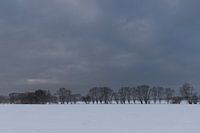 winter landscape