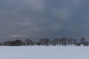 winter landscape sur Koen Ceusters