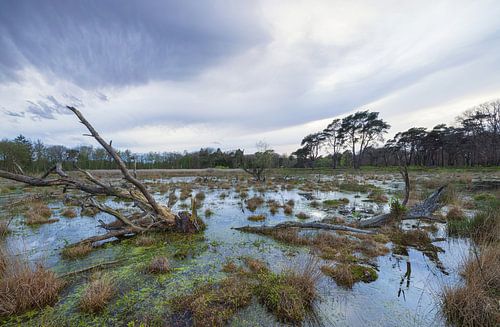 Sunset Schipborg - Drenthe (Netherlands)