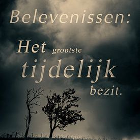 Erlebnisse von Freddy Hoevers