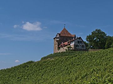 Castle and vineyard by Timon Schneider