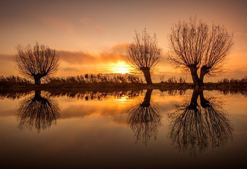 4 in a row by peterheinspictures