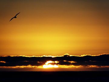 Zonsondergang - Zuid-Afrika van Globe Trotter