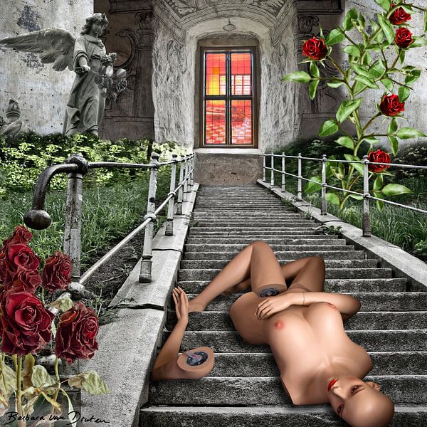 Senses of beauty by Barbara van Druten