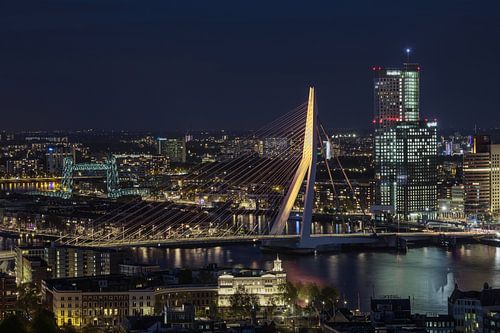 De Erasmusbrug in Rotterdam in gouden kleur speciaal voor Werk aan de Muur - 10 years of art
