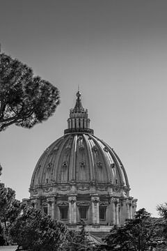 Zwart-wit Sint-Pietersbasiliek in Rome van Lizanne van Spanje