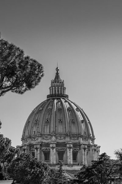 Der schwarz-weiße Petersdom in Rom von Lizanne van Spanje