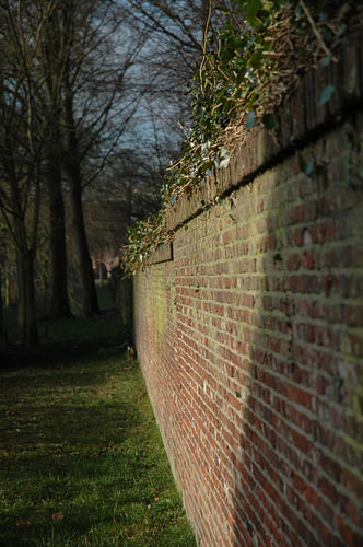 little wall
