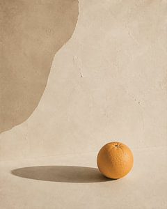 Minimalist Single Orange Still Life with Soft Shadows
