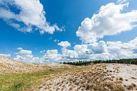 Fredriksveld in de zon van Rob Donders Beeldende kunst thumbnail