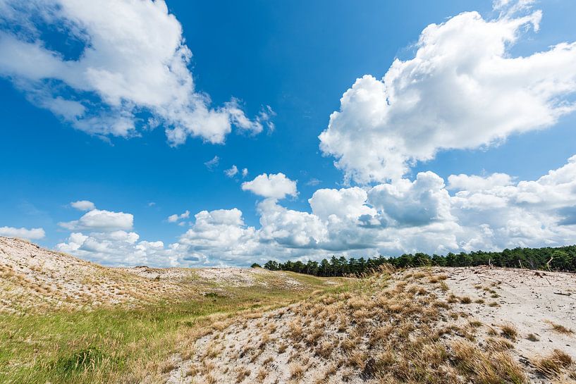 Fredriksveld in de zon van Rob Donders Beeldende kunst