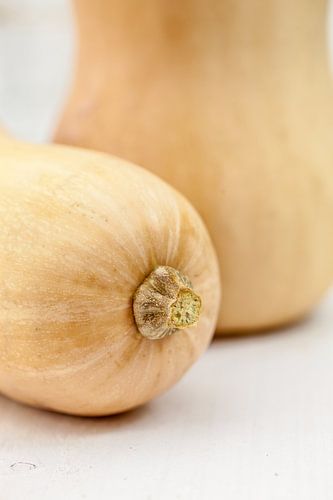 Flespompoen