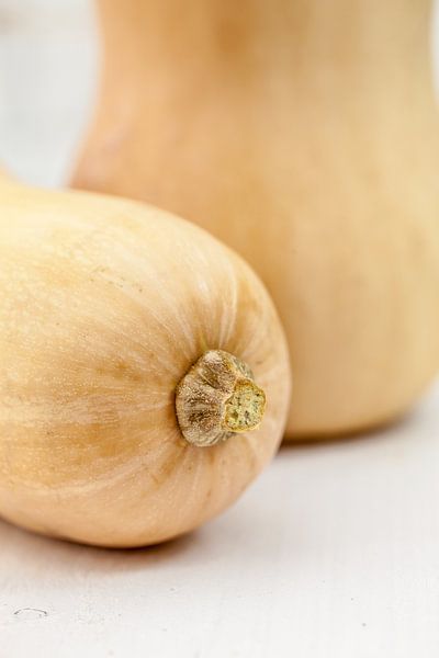 Flespompoen par Nina van der Kleij