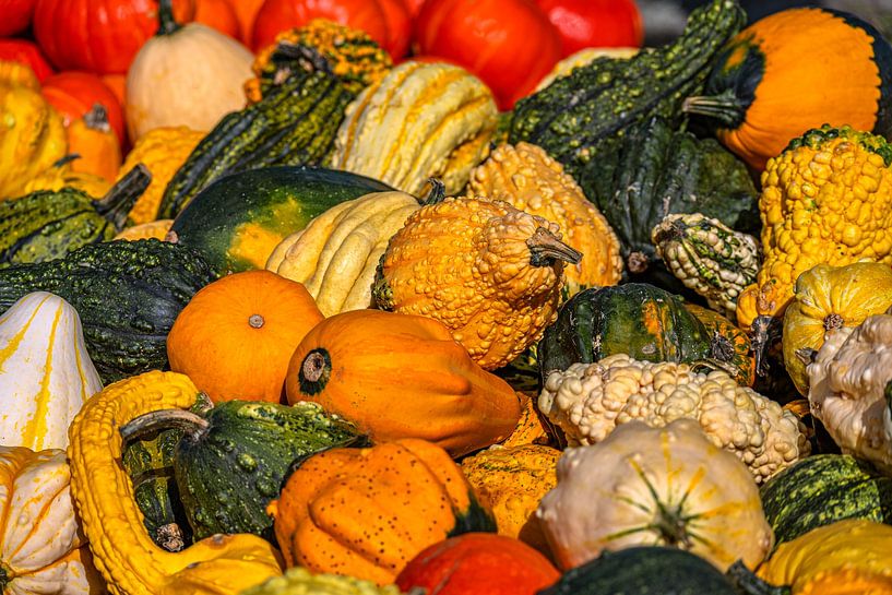Kürbiszauber im Herbst von Photoart-Naegele