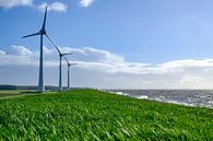 Windturbines aan de oever van het IJsselmeer van Sjoerd van der Wal Fotografie thumbnail