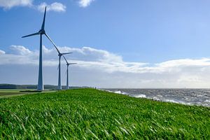 Windturbinen am Ufer des IJsselmeers