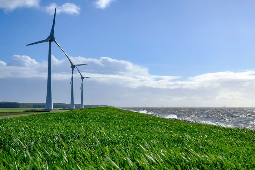 Windturbines aan de oever van het IJsselmeer van Sjoerd van der Wal Fotografie