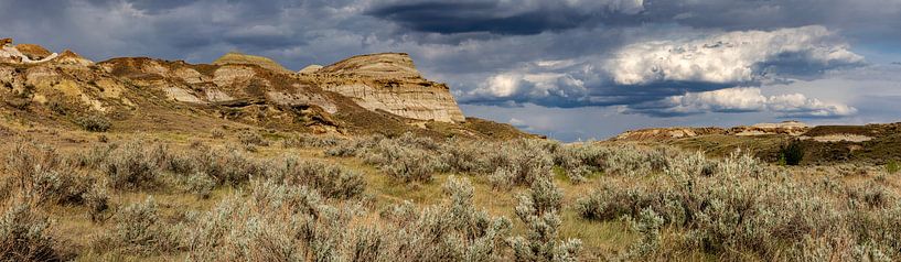Die Badlands in Alberta Kanada von Roland Brack