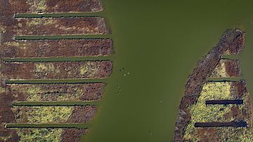 Braun und grün (3/4)