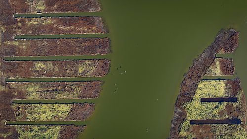 Braun und grün (3/4)