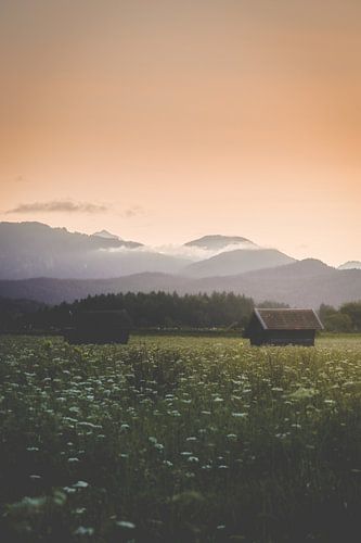 Soirée alpine idyllique