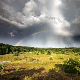 Rainbow above hills, forest and healthland by Olha Rohulya