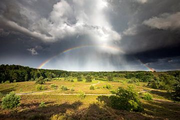 Regenbogen über Hügeln, Wald und Heide