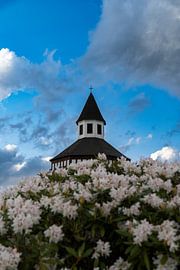 Spits achter bloesems