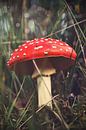 Op een grote paddenstoel... van Jaike Reinders thumbnail