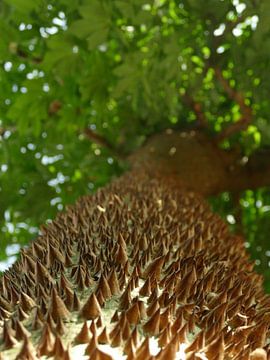 Life is full of stimuli