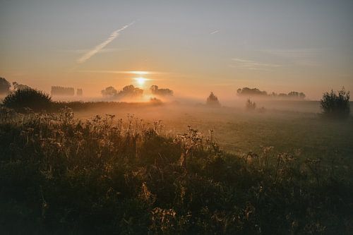 Foggy autumn day sunrise