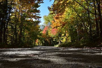 Een landweg in de herfst van Claude Laprise