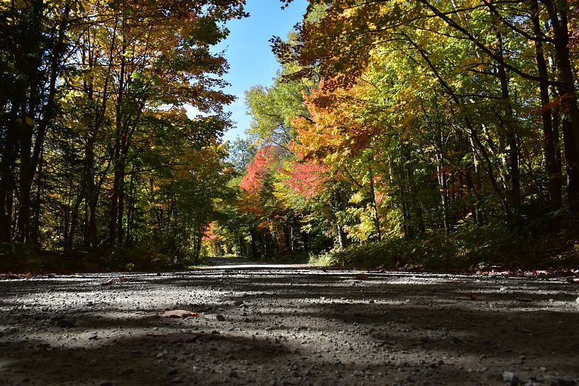 A country road in autumn by Claude Laprise