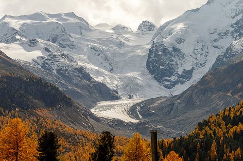 View of the Morteratsch glacier in Switzerland