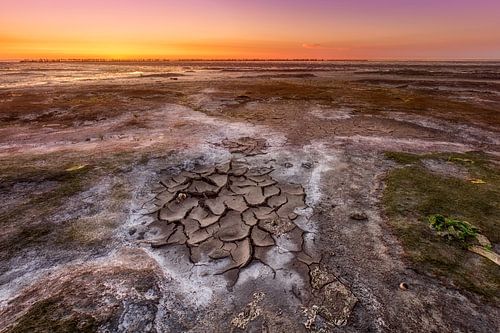 Het droge wad bij Wierum