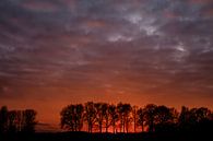 polder in rood licht van jan van de ven thumbnail