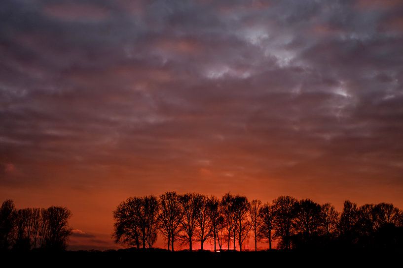 polder in rood licht von jan van de ven