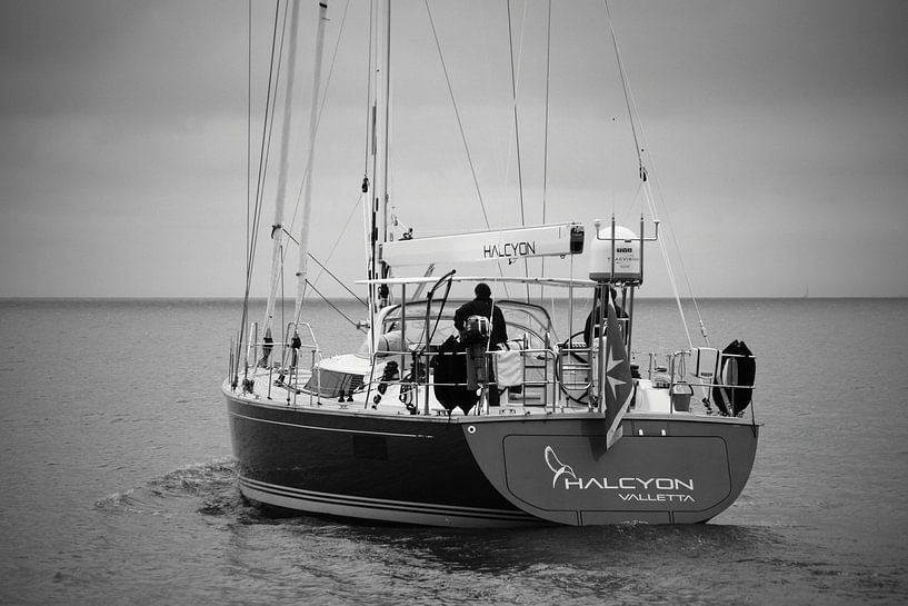 Halcyon par Koolpics